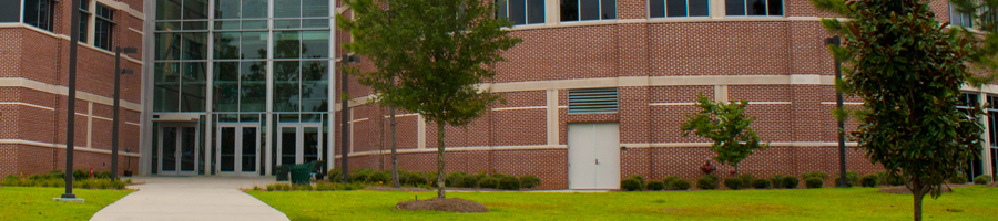 Image of the School of Science and Engineering